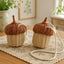 Acorn Shaped Wicker Basket with Lid & Cotton Ties, Handmade Rattan Keepsake Box with Stem Handle for Jewelry, Candy & Forest Decor -ZENG-091815