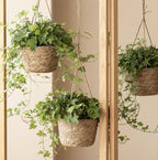 Handwoven Seagrass Hanging Planter Basket with Jute Rope, Woven Plant Pot Cover for Indoor Outdoor Hanging Plants, Boho Home Decor -ZENG-091601