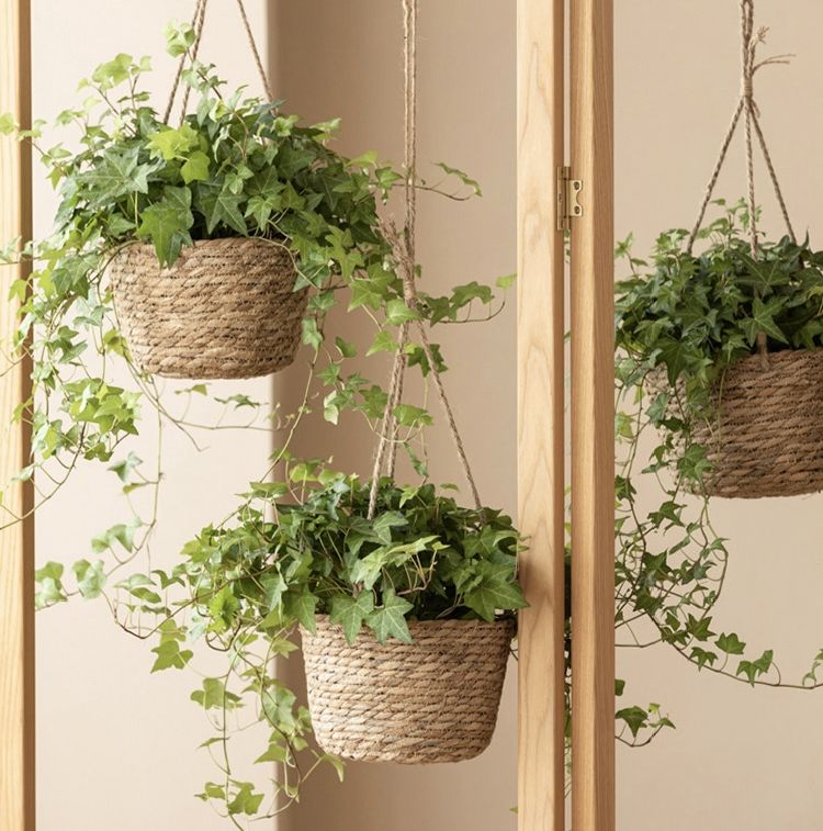 Handwoven Seagrass Hanging Planter Basket with Jute Rope, Woven Plant Pot Cover for Indoor Outdoor Hanging Plants, Boho Home Decor -ZENG-091601