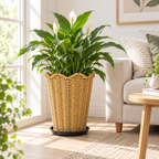 Tall Tapered Woven Planter Basket with Scalloped Rim & Tray, Handwoven Rattan Plant Pot Cover for Pampas Grass, Flowers & Indoor Outdoor Decor -ZENG-092402