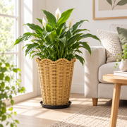 Tall Tapered Woven Planter Basket with Scalloped Rim & Tray, Handwoven Rattan Plant Pot Cover for Pampas Grass, Flowers & Indoor Outdoor Decor -ZENG-092402
