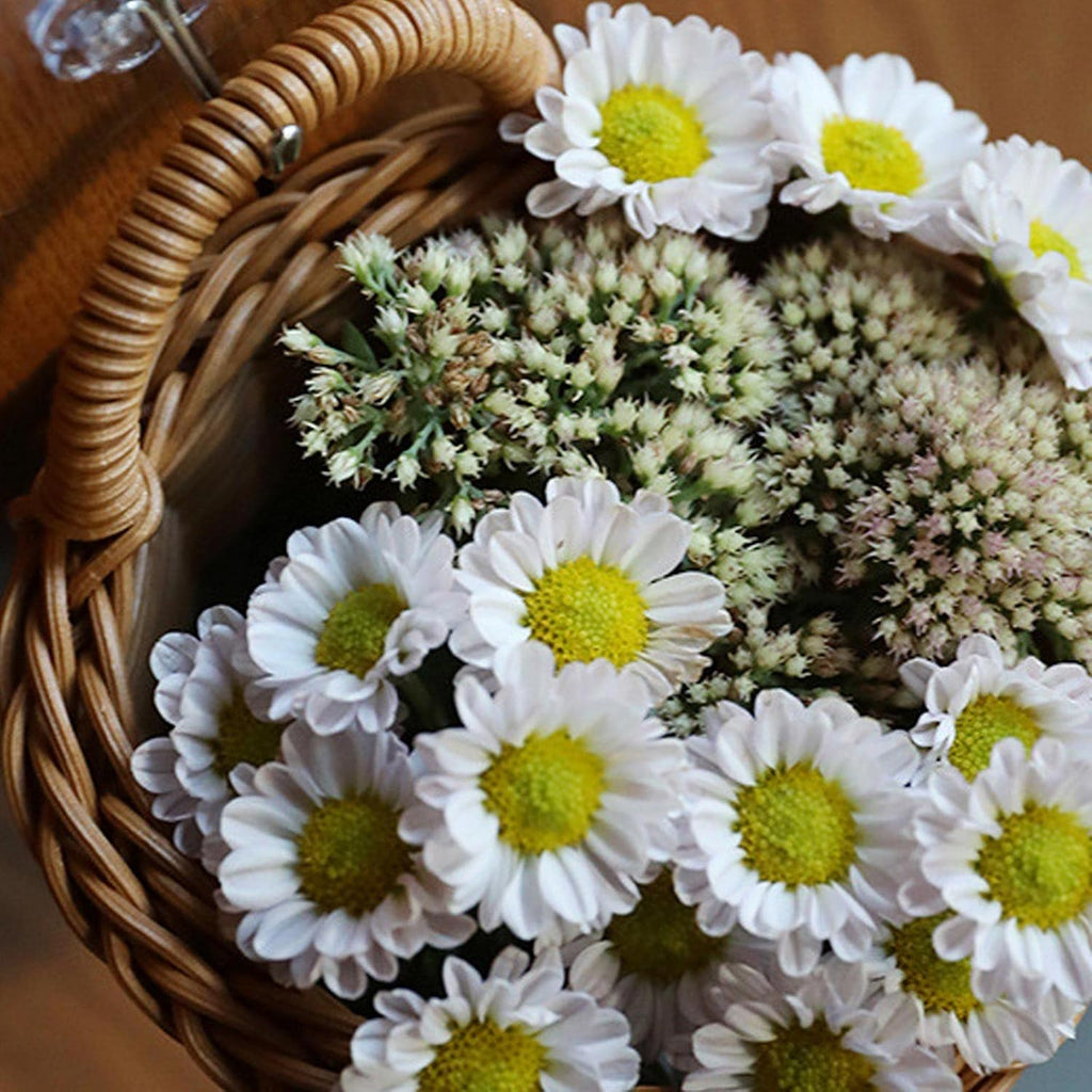 Woven Storage Basket With Handle Wicker Baskets Decorate Hanging Baskets |