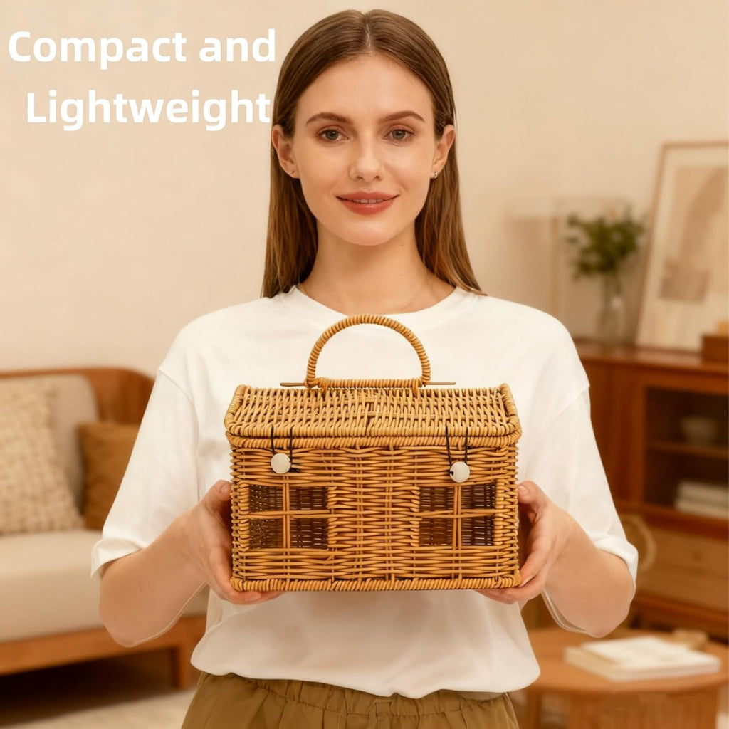 Small House-Shaped Rattan Basket with Lid