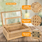 Rattan Display Boxes with Glass Lids - Set of 2
