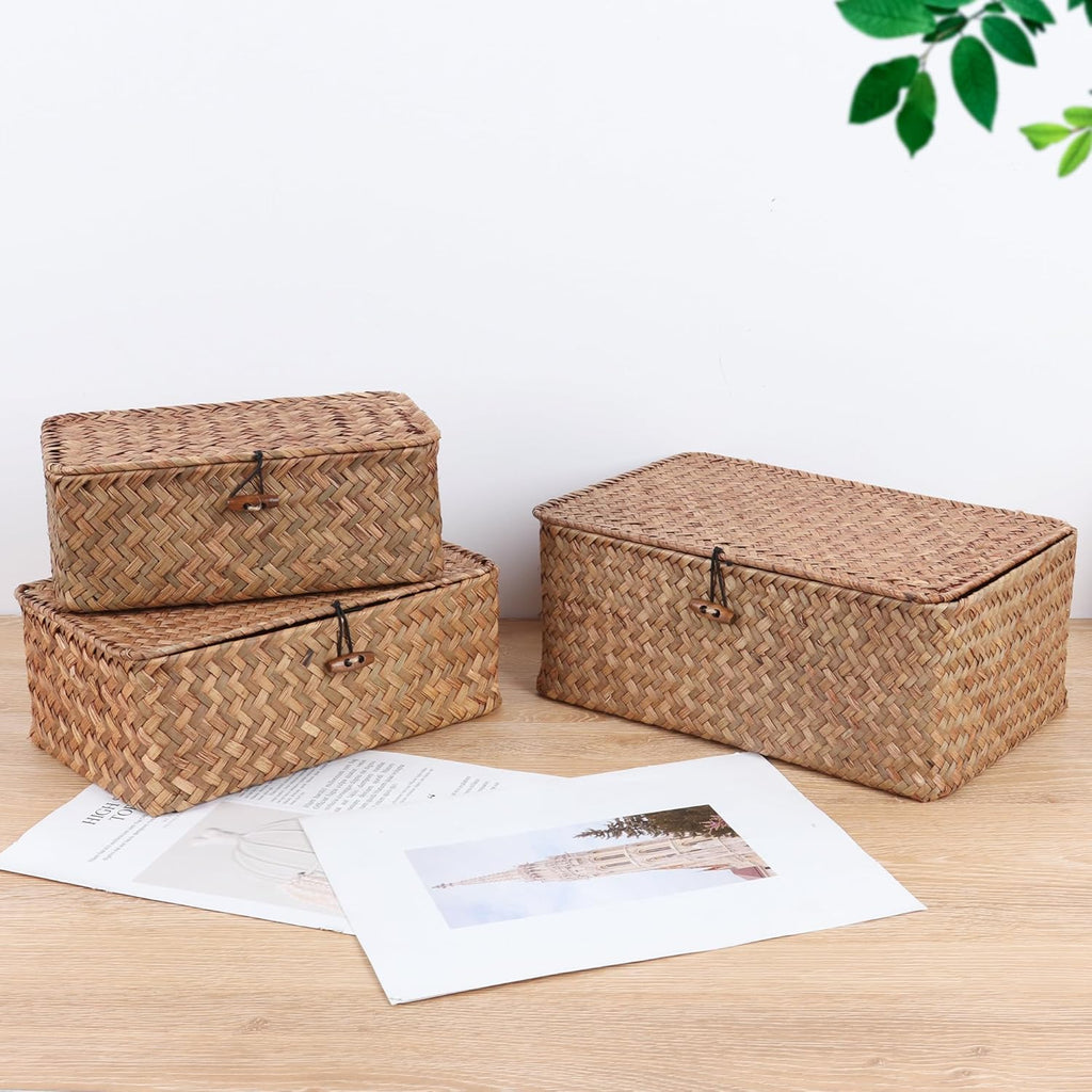 Small Seagrass Shelf Basket with Lid