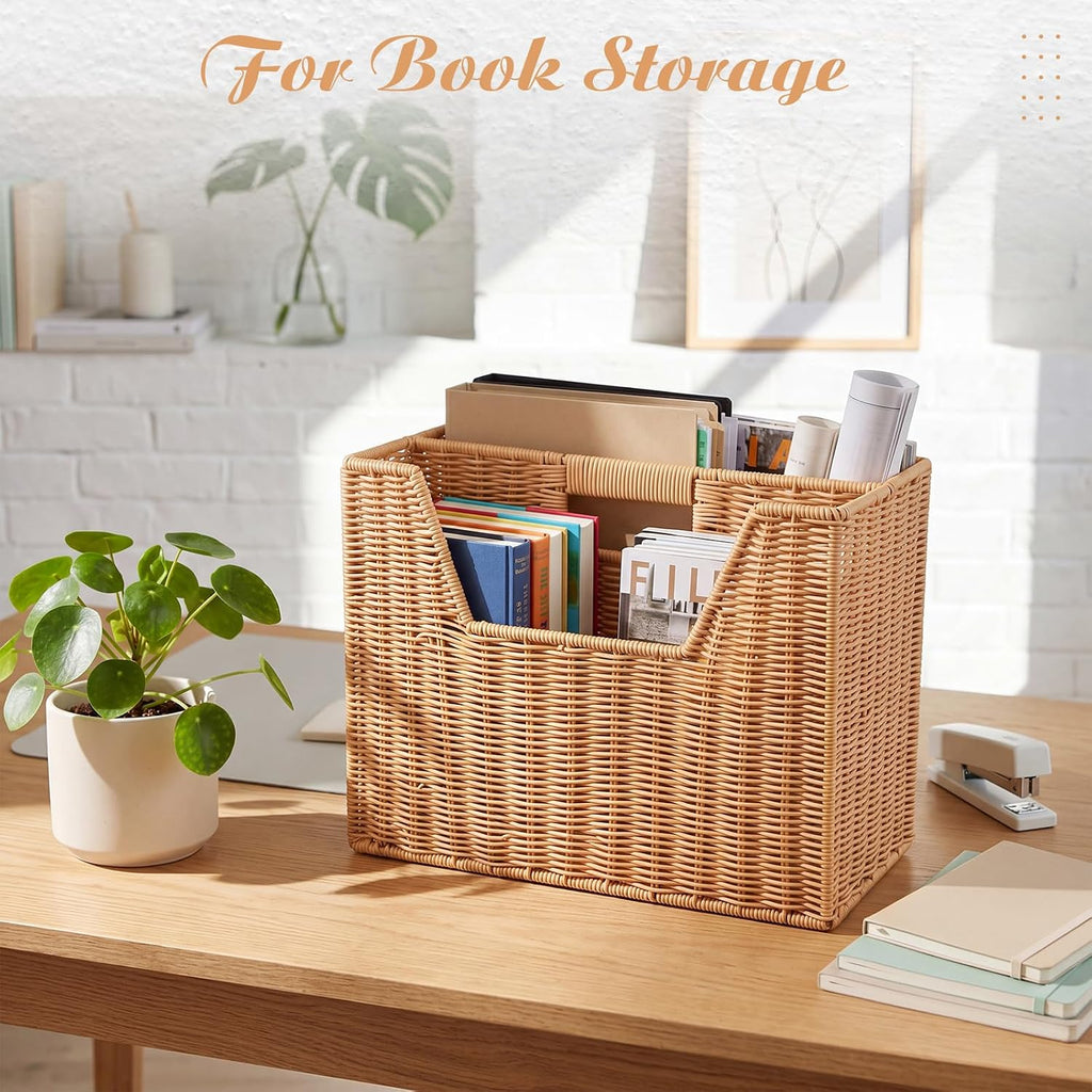 Divided Rattan Magazine Basket