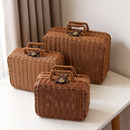 Wicker Storage Suitcase with Handle – Rattan Organizer Box with Lid & Clasp for Cosmetics, Accessories & Home Storage-cc-092405