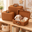 Wicker Storage Suitcase with Handle – Rattan Organizer Box with Lid & Clasp for Cosmetics, Accessories & Home Storage-cc-092405