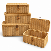 Wicker Storage Baskets with Lids – Rattan Organizer Boxes for Toys, Clothes & Home Storage-cc-092403