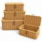 Wicker Storage Baskets with Lids – Rattan Organizer Boxes for Toys, Clothes & Home Storage-cc-092403