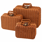 Wicker Storage Suitcase with Handle – Rattan Organizer Box with Lid & Clasp for Cosmetics, Accessories & Home Storage-cc-092405