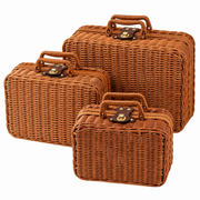 Wicker Storage Suitcase with Handle – Rattan Organizer Box with Lid & Clasp for Cosmetics, Accessories & Home Storage-cc-092405