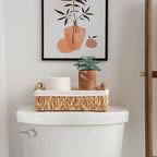 Small Water Hyacinth Baskets with Cotton Liner