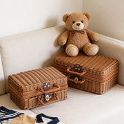Wicker Storage Suitcase with Handle – Rattan Organizer Box with Lid & Clasp for Cosmetics, Accessories & Home Storage-cc-092405