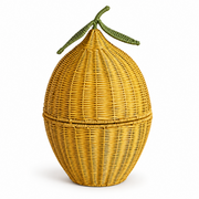 Handwoven Rattan Egg Shaped Storage Basket with Lid-Cute Fruit Shape Organizer for Nursery, Kitchen and Living Room-cc-091807