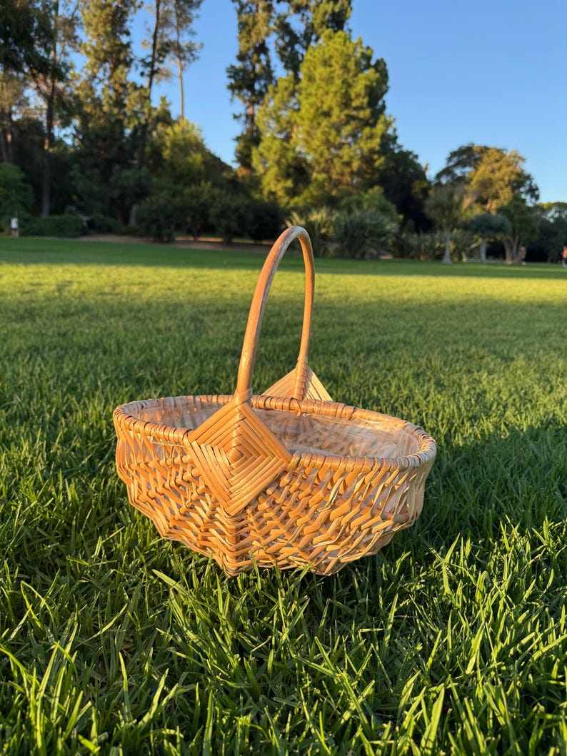 Woven Willow Basket Set with Handle & Liner: Farmhouse Decor