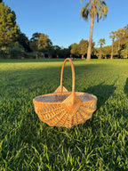 Woven Willow Basket Set with Handle & Liner: Farmhouse Decor