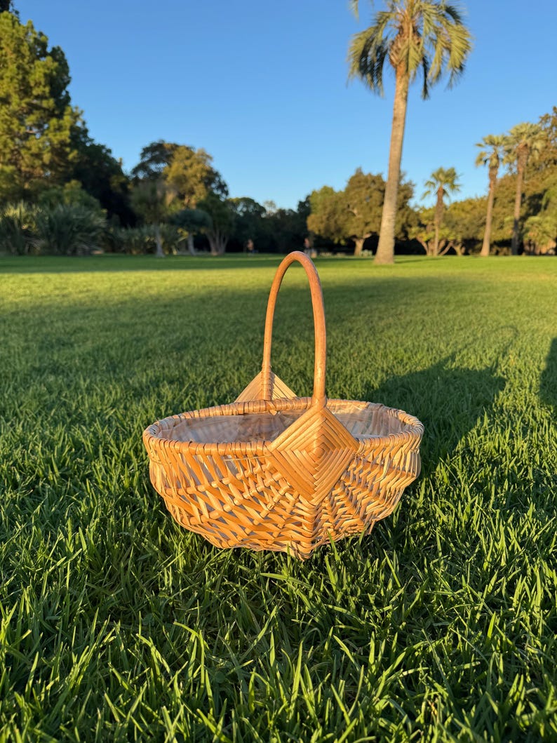 Woven Willow Basket Set with Handle & Liner: Farmhouse Decor