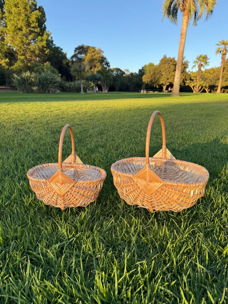 Woven Willow Basket Set with Handle & Liner: Farmhouse Decor